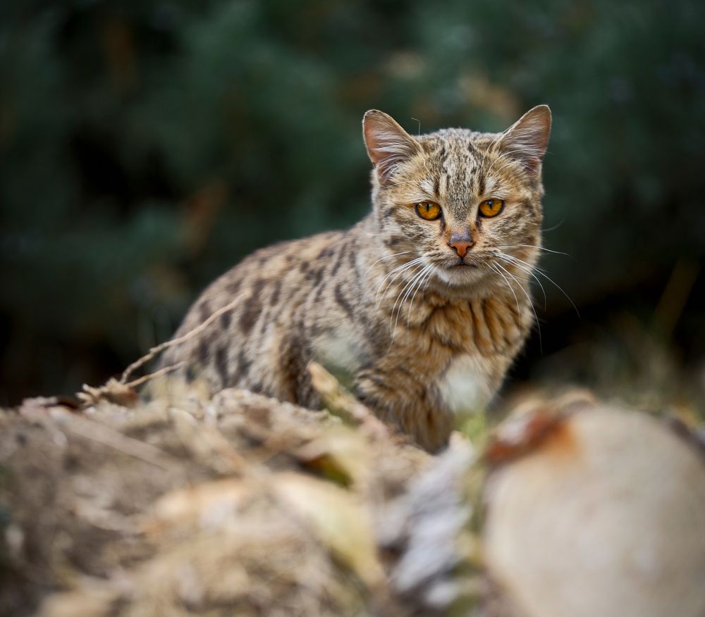 Photograph by hootan naserifar