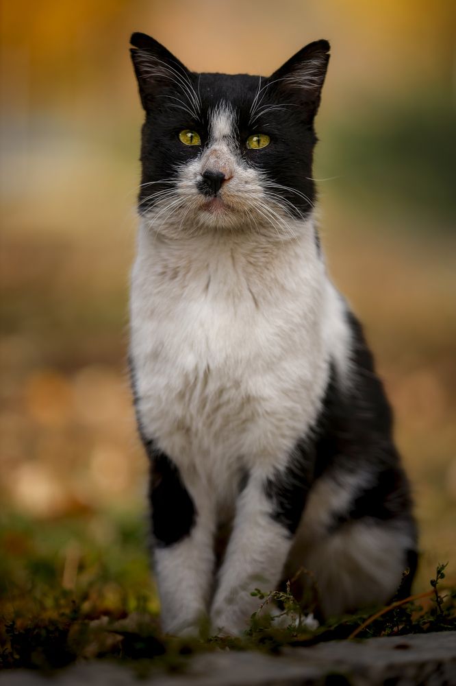 Photograph by hootan naserifar