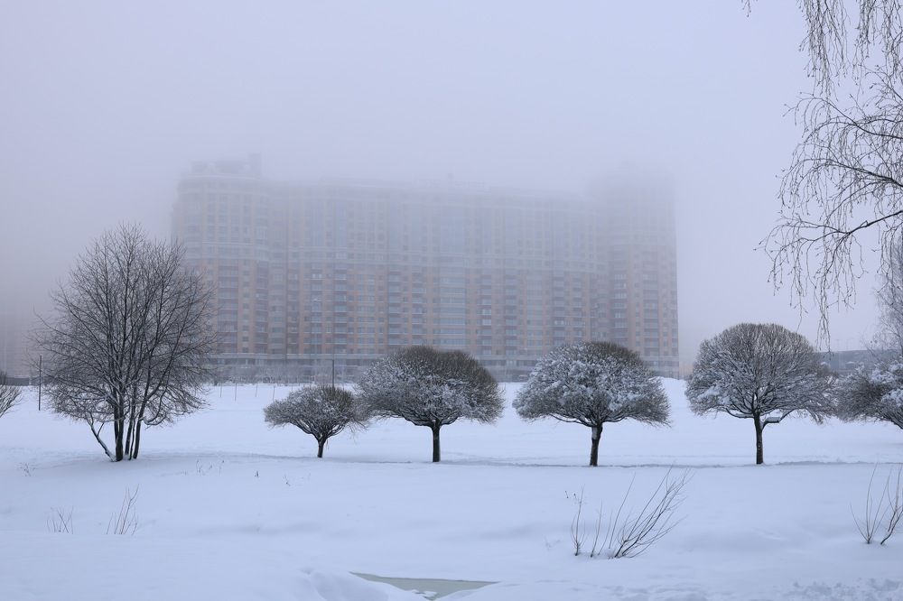 Морозное утро