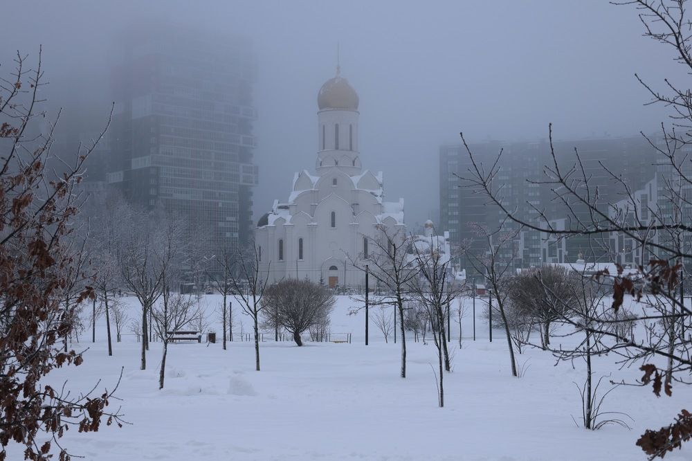 Фотография автора Andrew