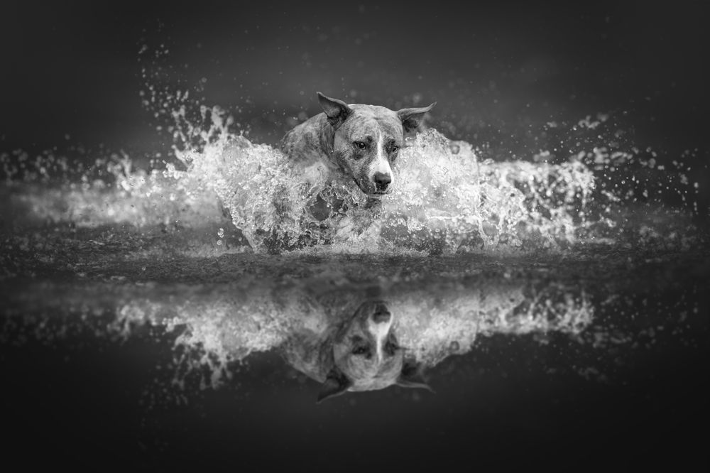 Photograph by Lucie Nermuťová