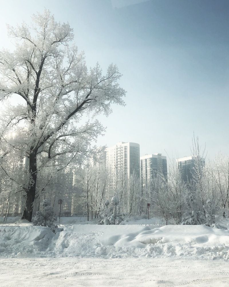 Photograph by Svetlana Tolkunova