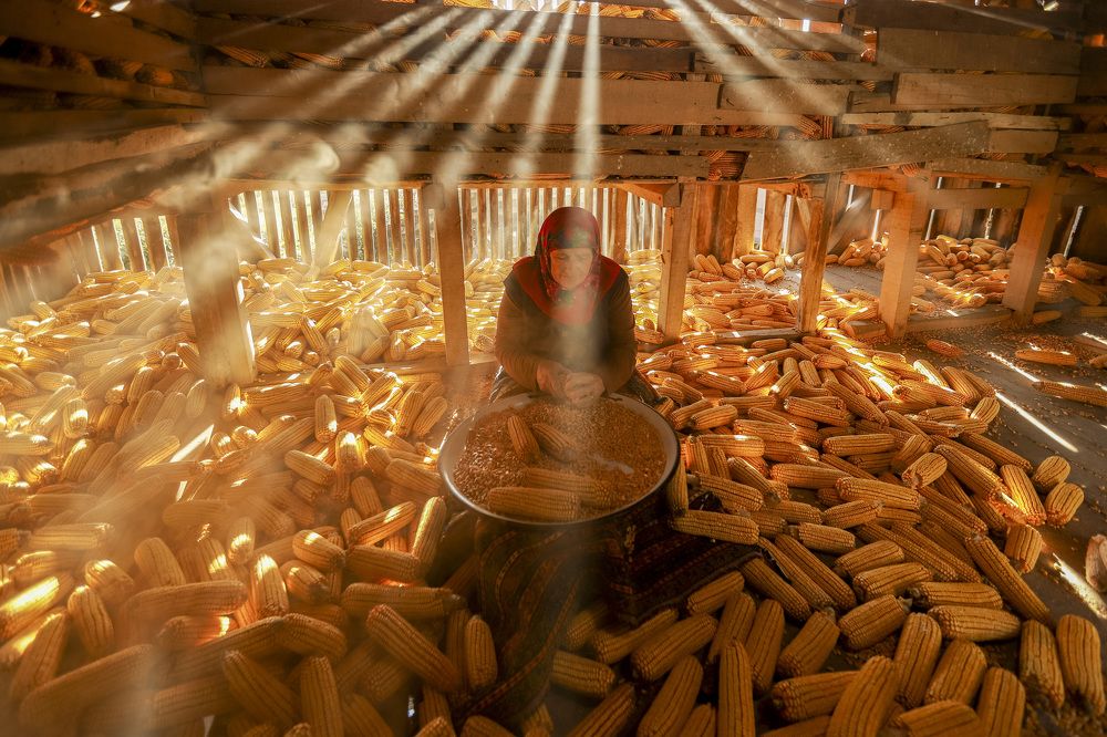 Фотография автора Orhan Bektaş