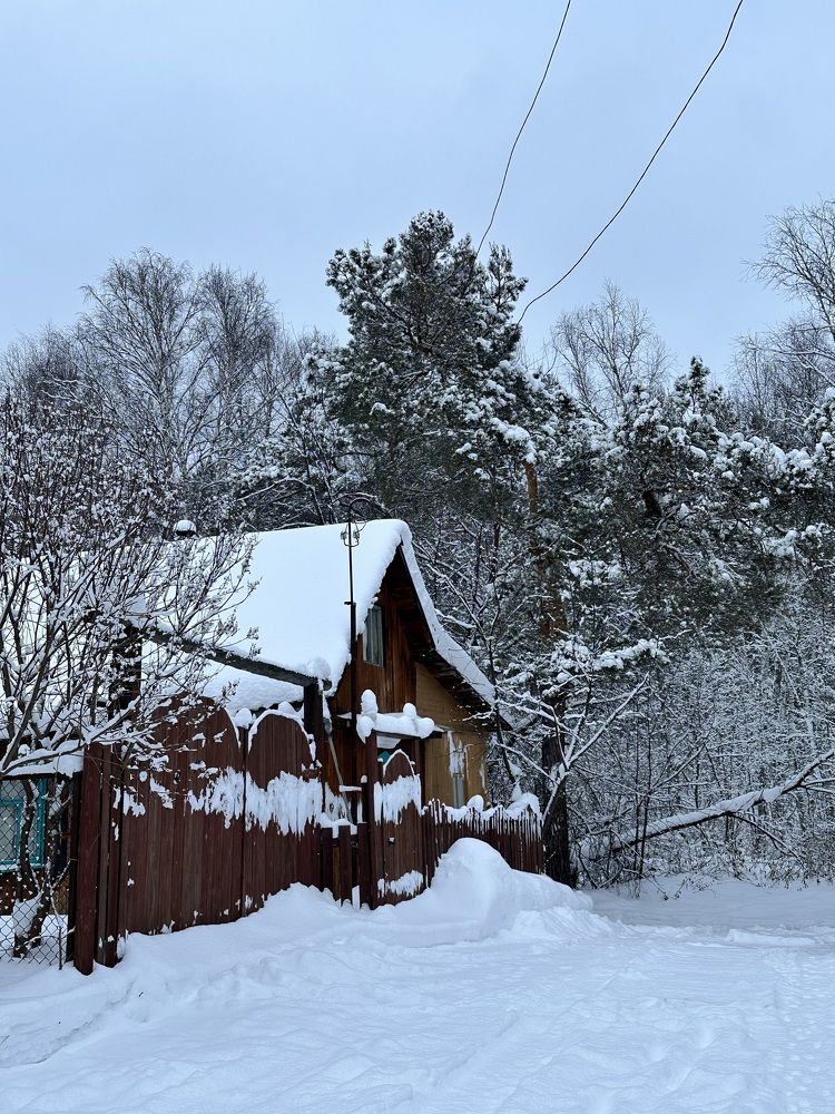 Photograph by Svetlana Tolkunova