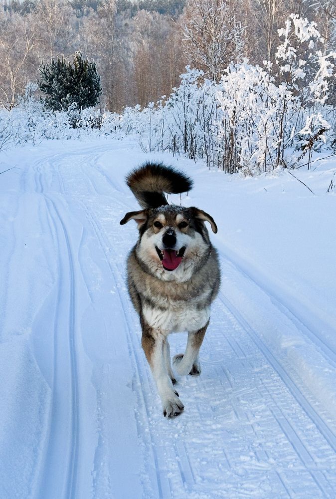Photograph by Svetlana Tolkunova