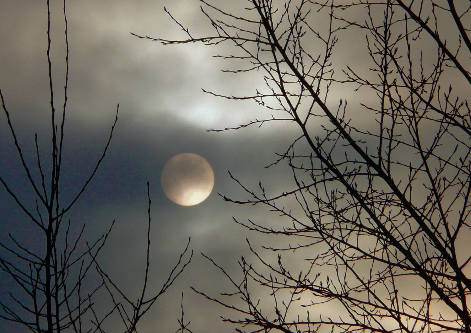 Photo #11656032