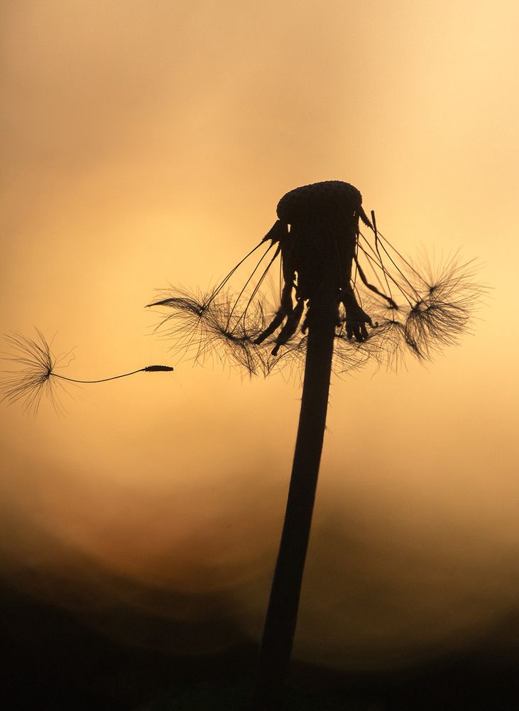 Фотография автора Борис Журавлёв