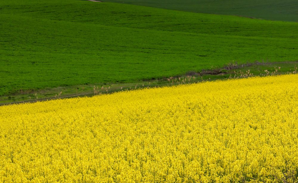Photograph by Grădinaru Catalin