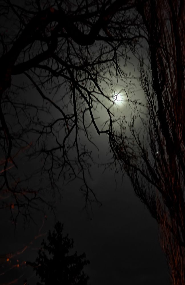 Photograph by Grădinaru Catalin