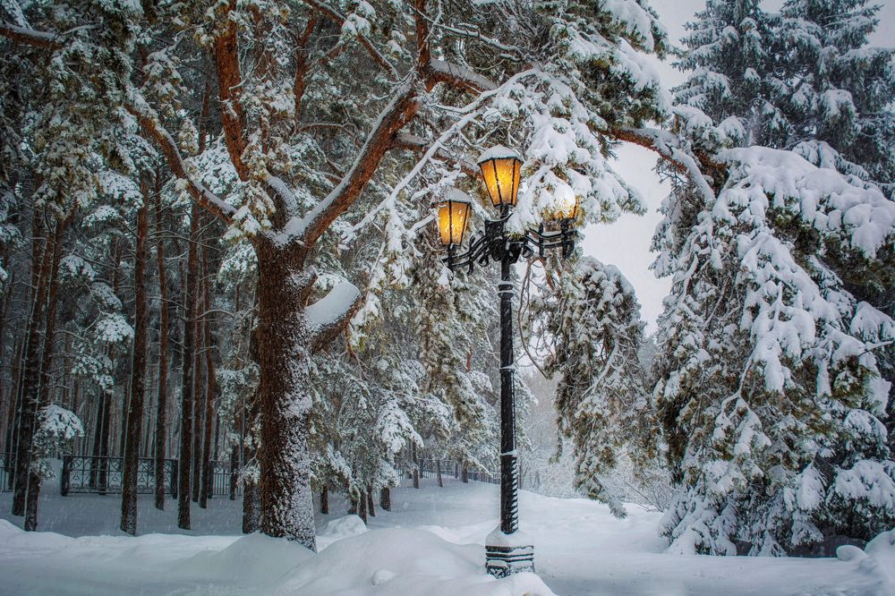 Фотография автора Ильченко Оксана