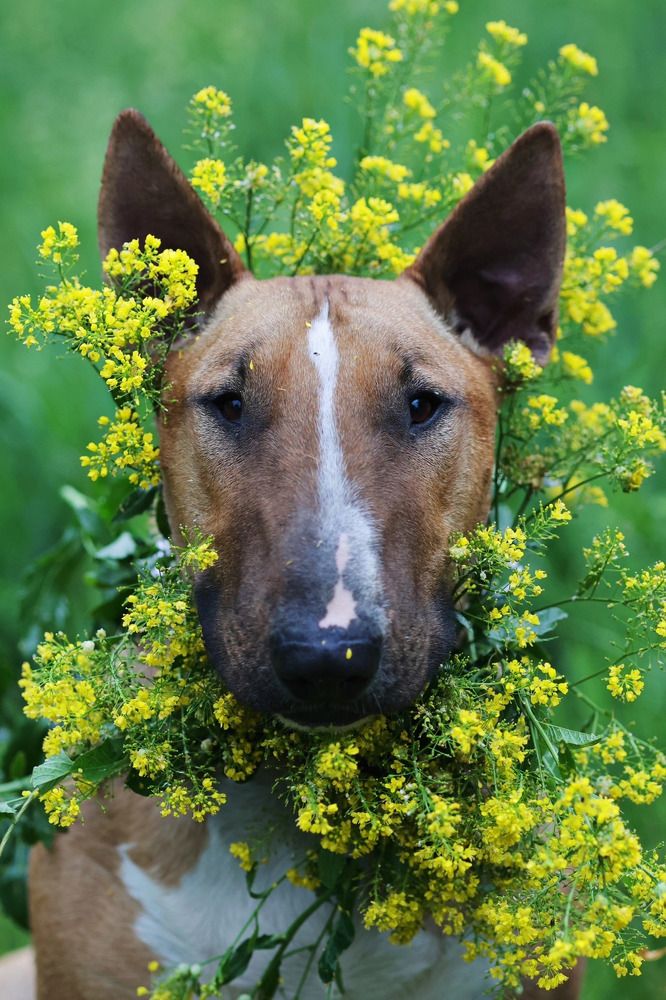 Фотография автора Елена