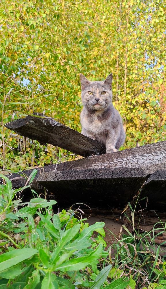 Photograph by Марина Артемьева