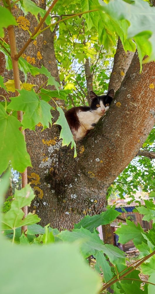 Photograph by Марина Артемьева