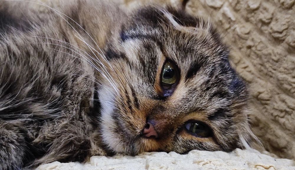 Photograph by Марина Артемьева