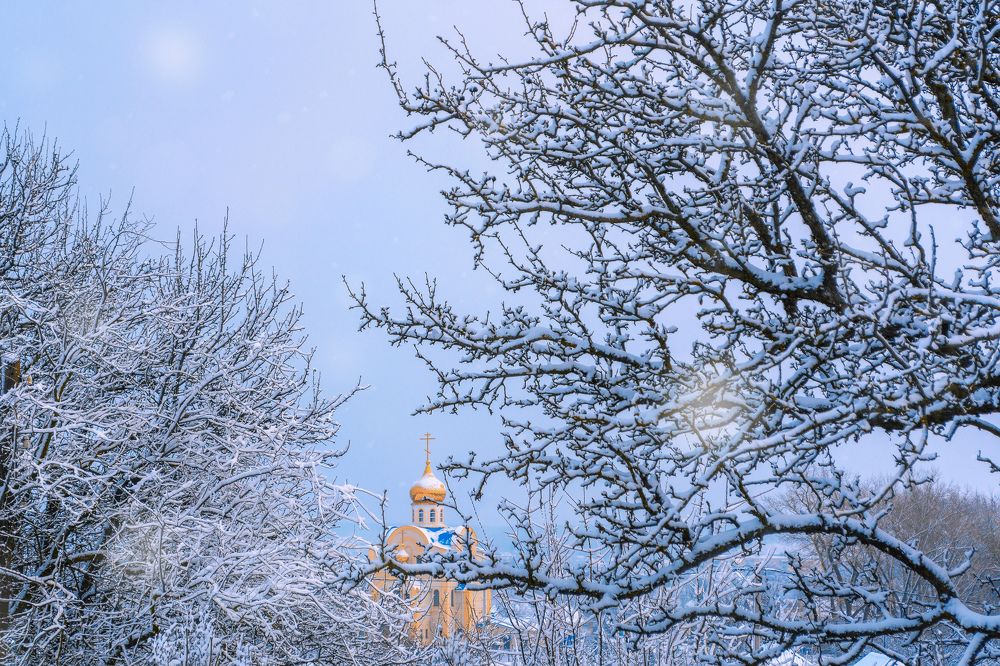 Фотография автора Ильченко Оксана