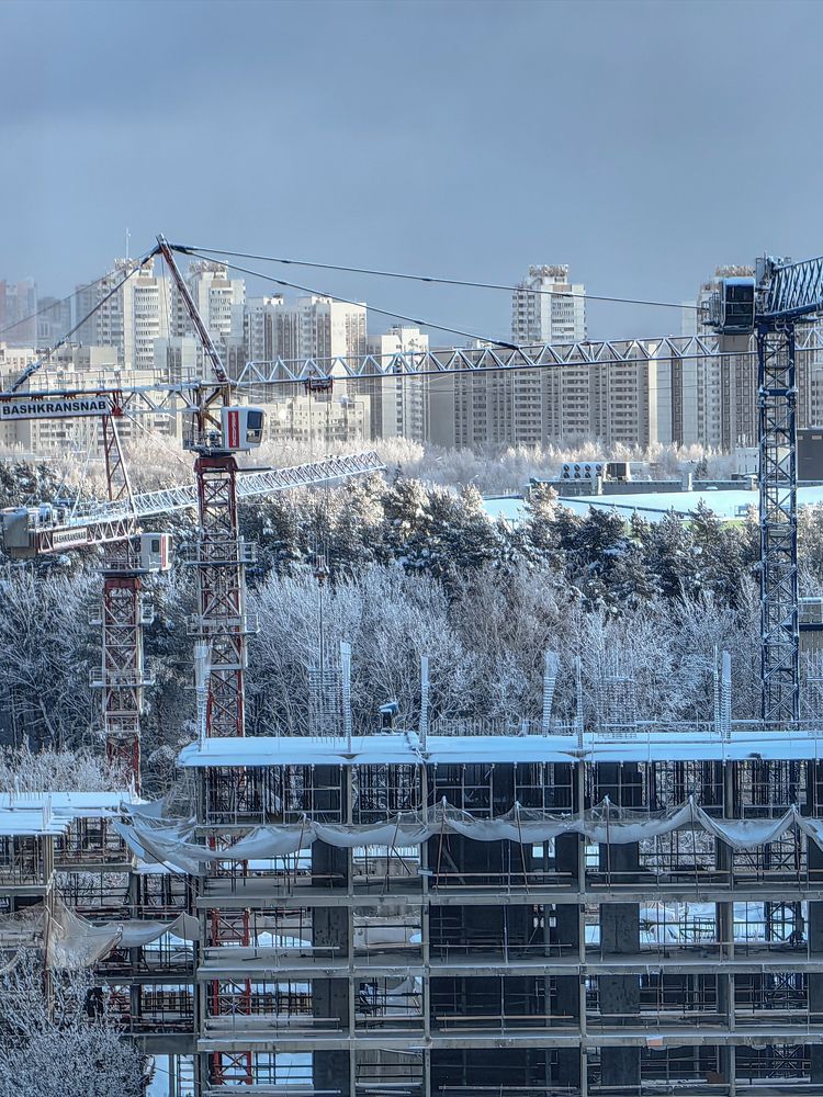 Фотография автора Ольга Панасюк