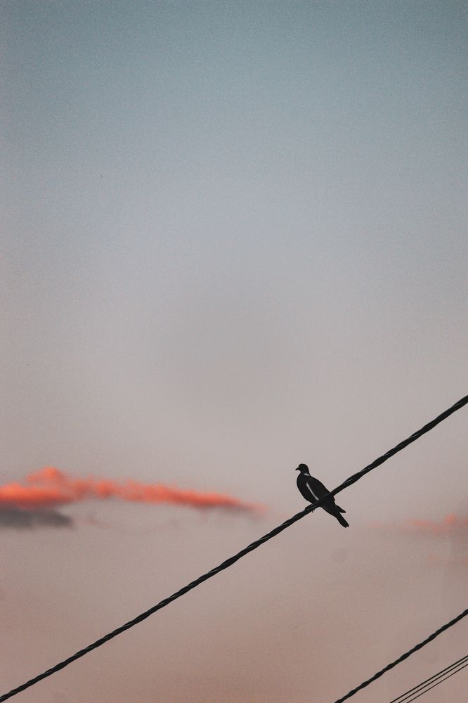 Фотография автора Илья Малеев