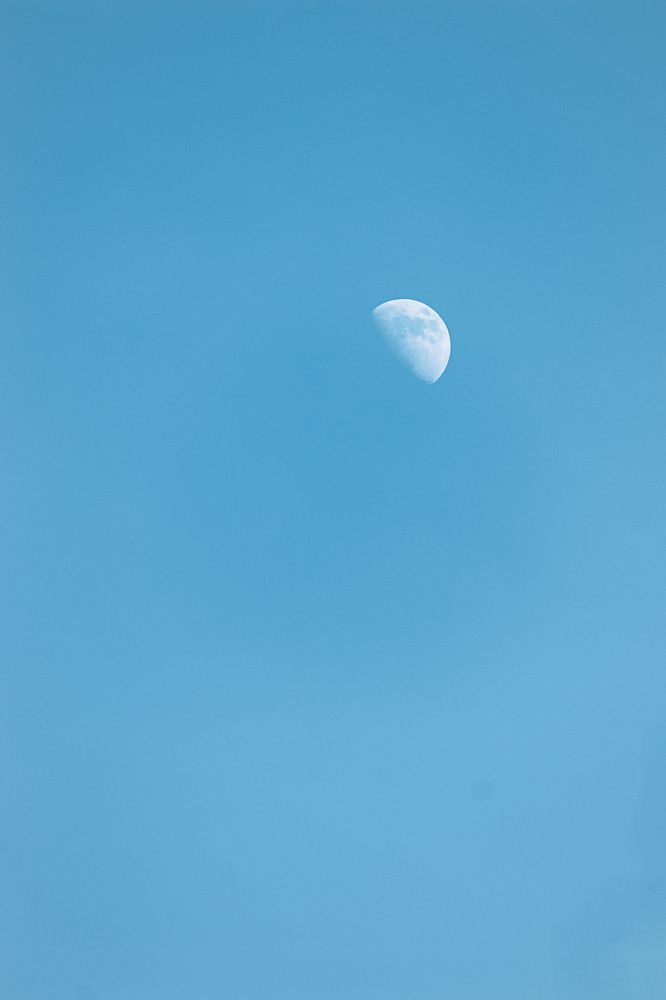 Фотография автора Илья Малеев