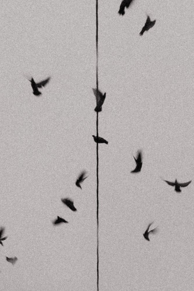 Photograph by Илья