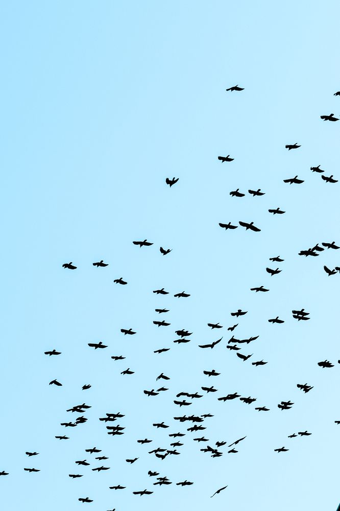 Фотография автора Илья Малеев