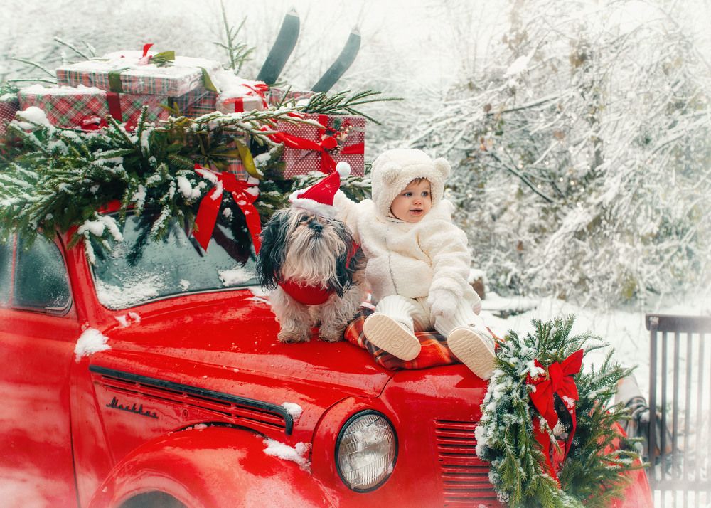 Photograph by Ольга Лобачёва