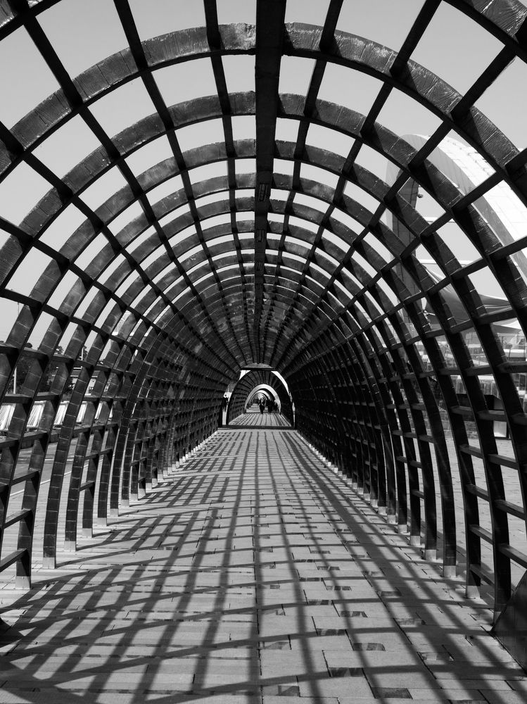 Photograph by Abdolreza Aleagha