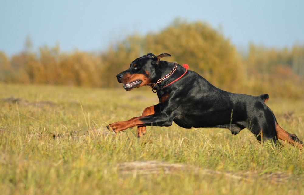 Photograph by Третьякова Анастасия