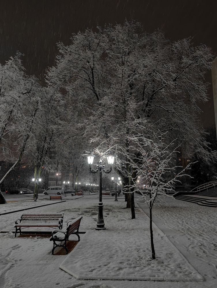 Фотография автора Ольга Панасюк