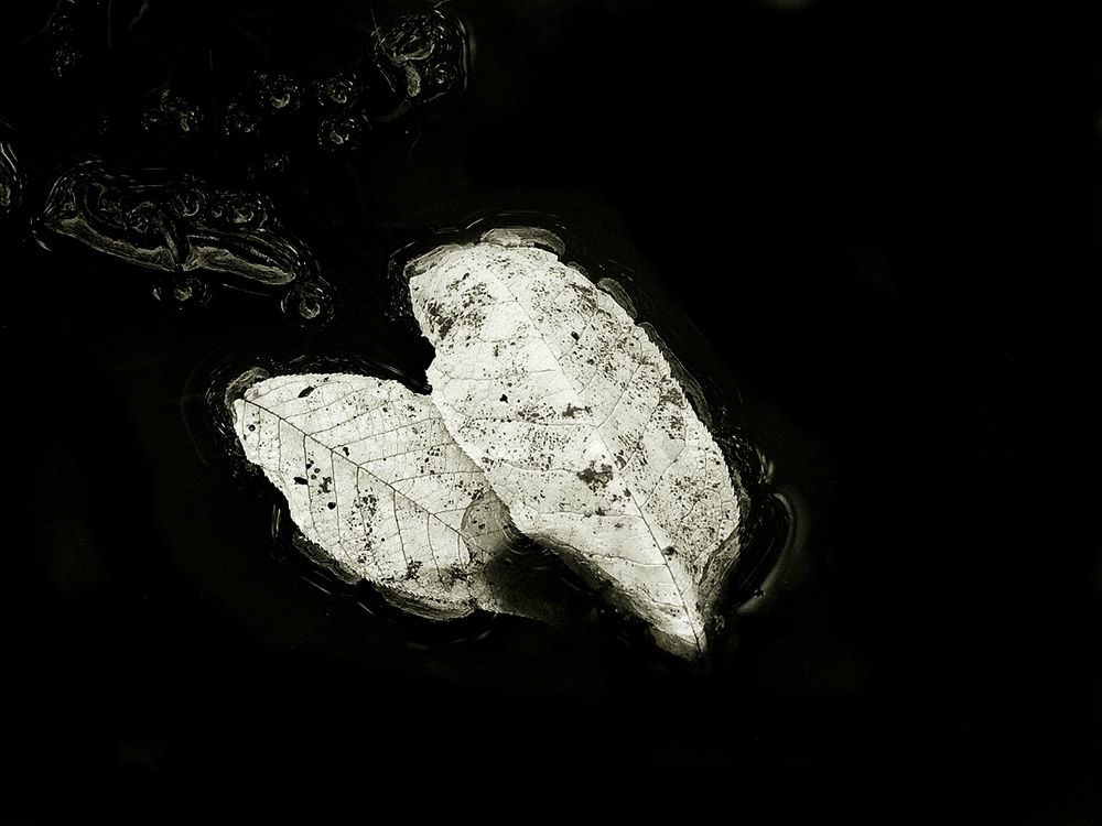 Photograph by Леонид Шнейдерман