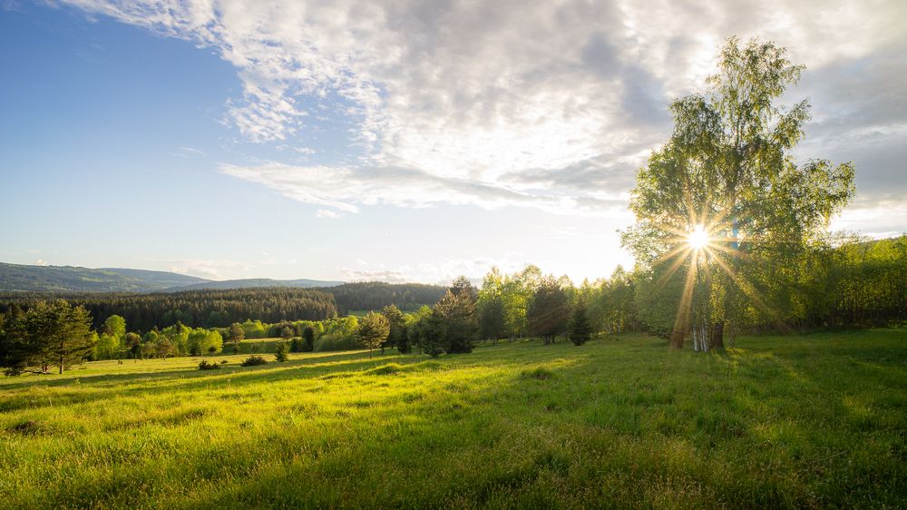 Photograph by Jan Vacek