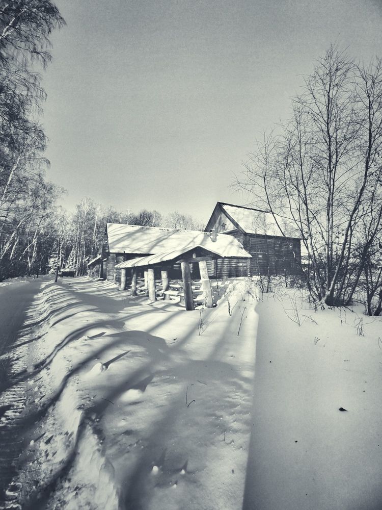 Фотография автора Татьяна Егорова