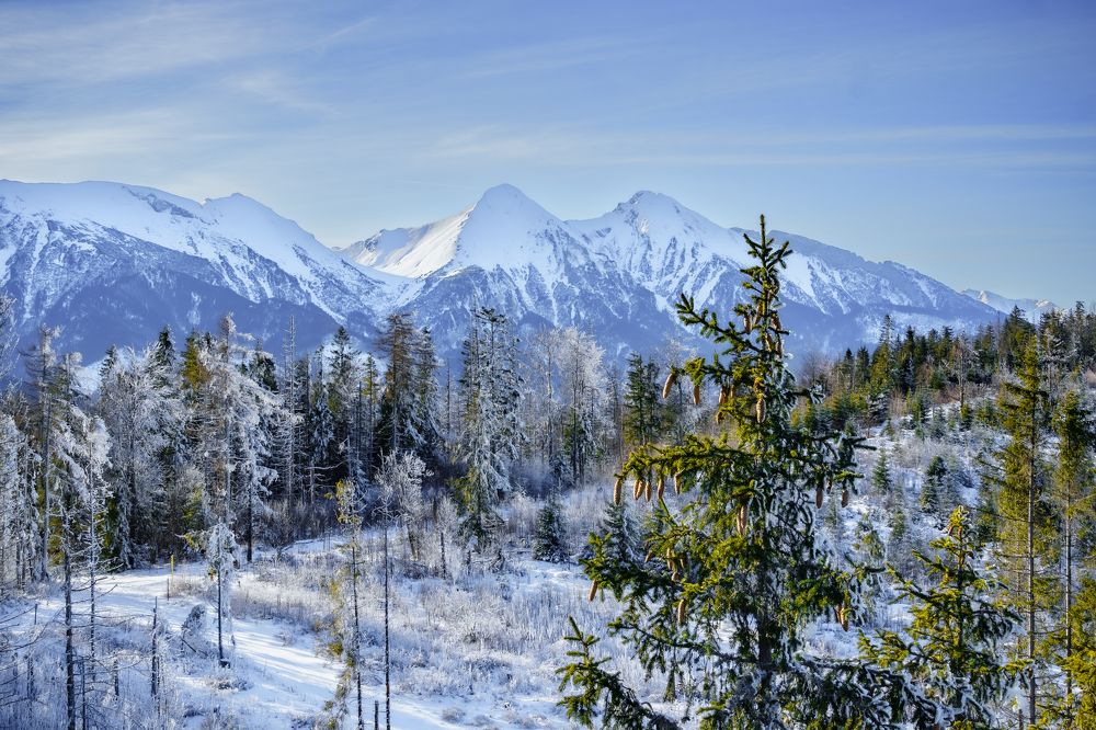 Photograph by Valdis Serzhans