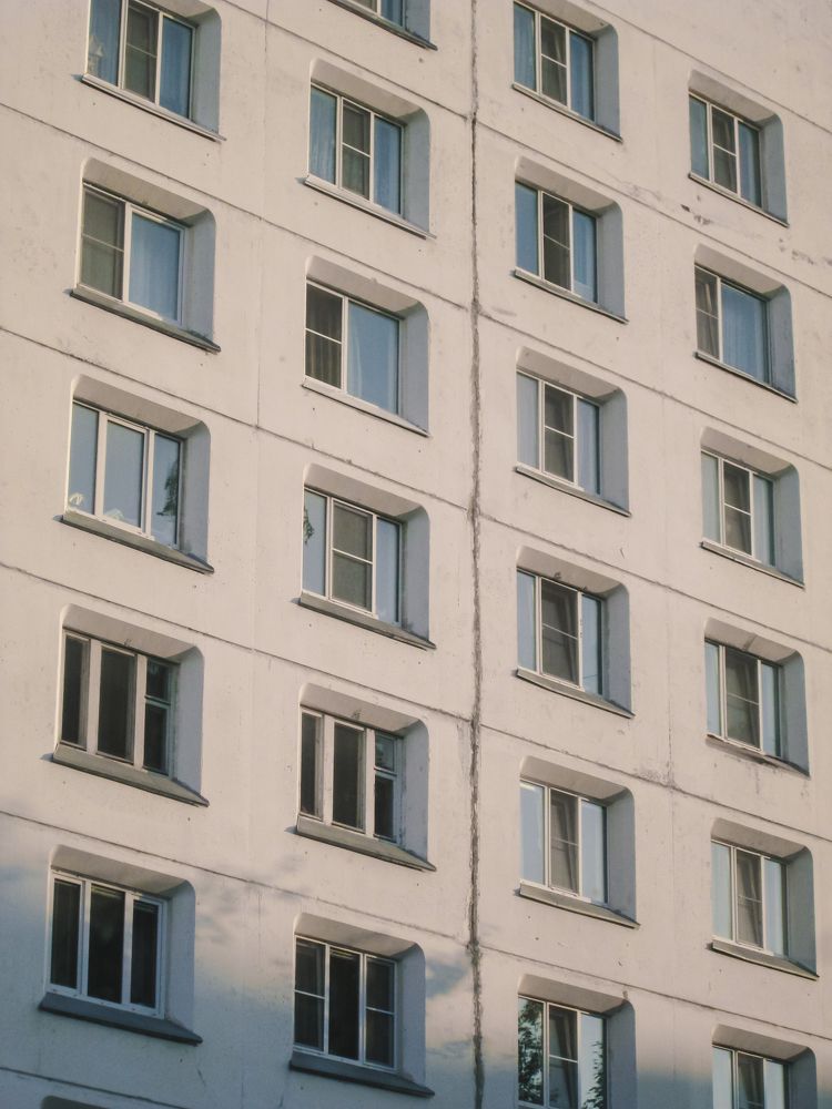 Photo #11656384