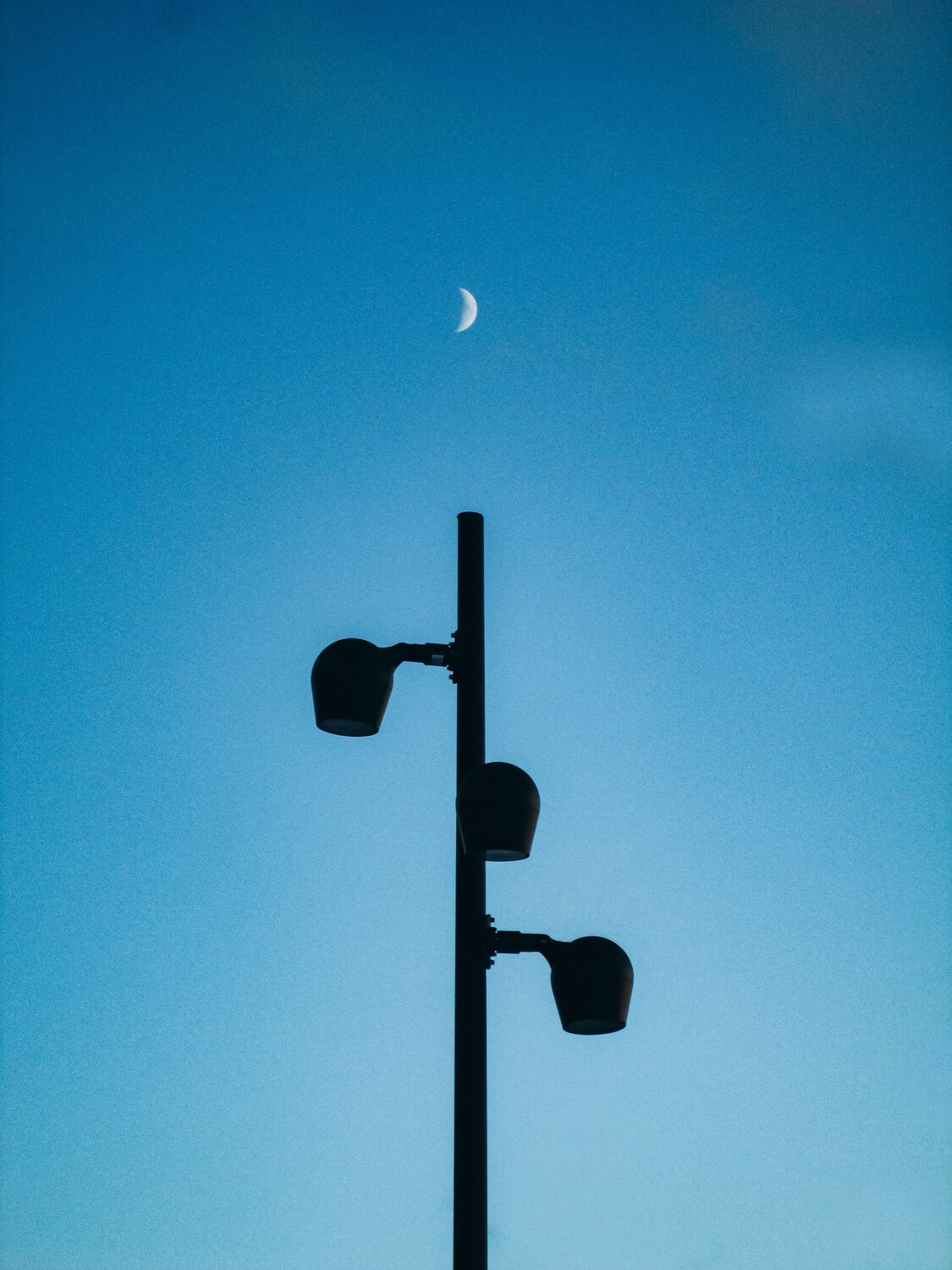 Photo #11656389