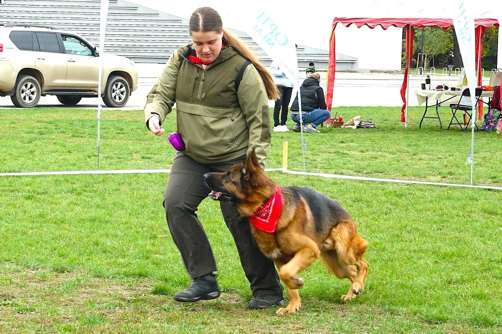 Photograph by jelena konickaja