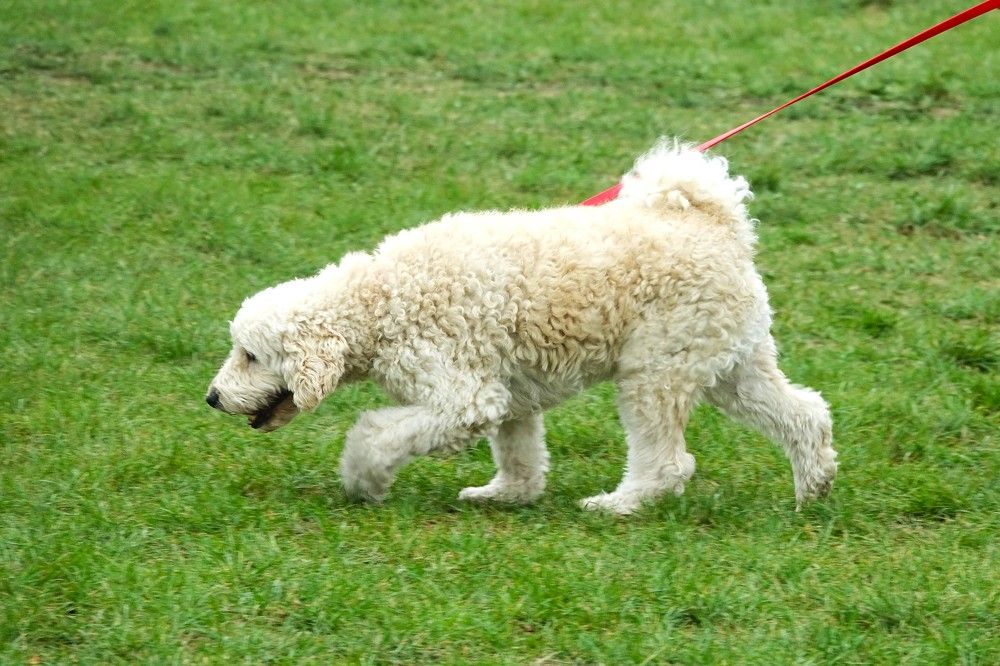 Photograph by jelena konickaja