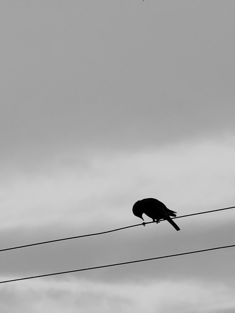 Фотография автора Ольга Панасюк