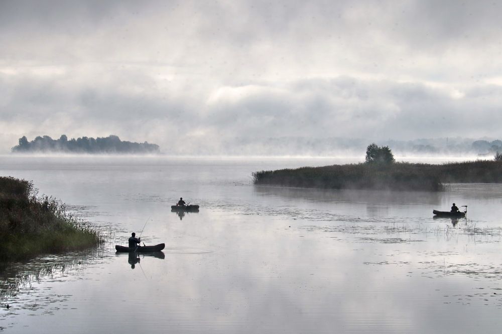 Photograph by 