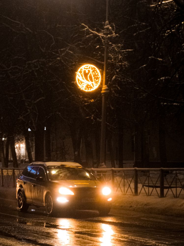 Photo #11656424