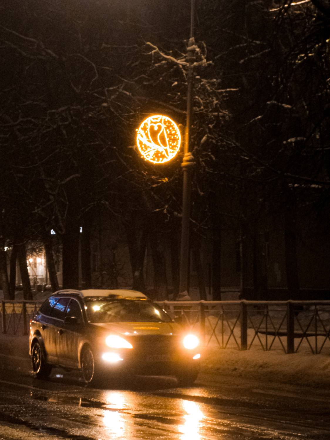 Photo #11656424