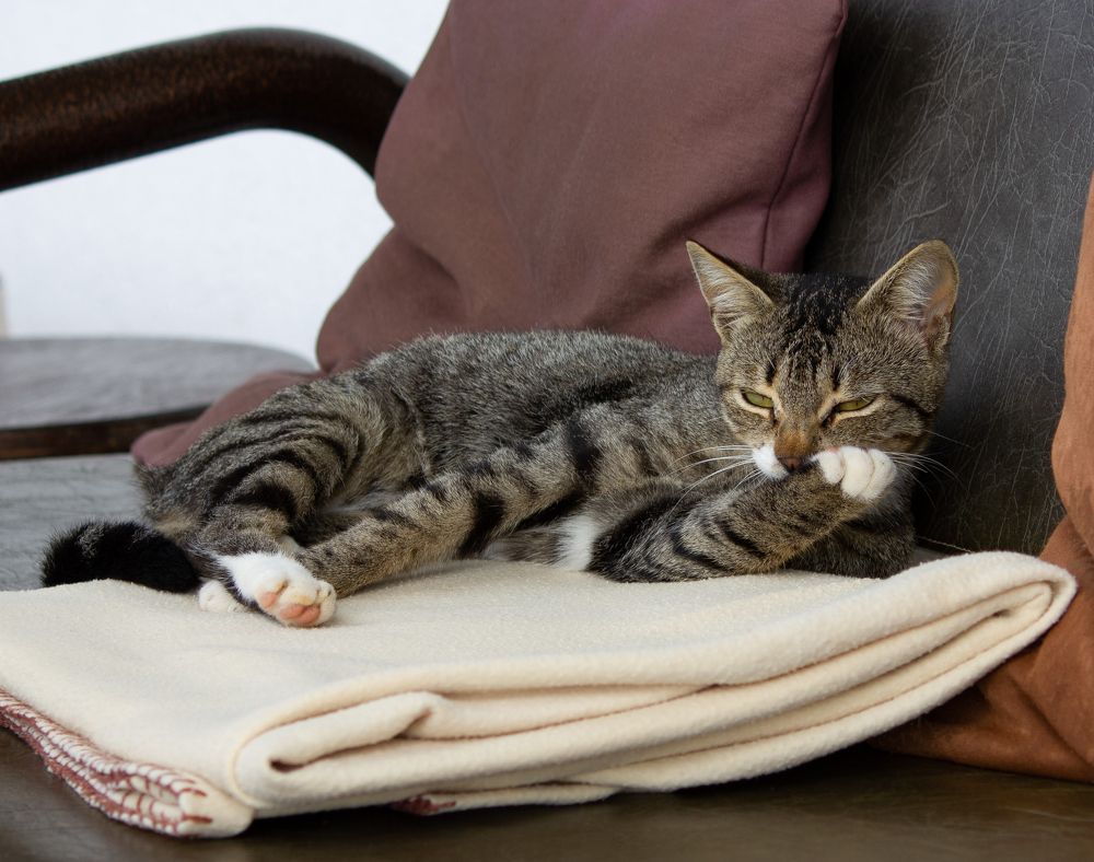 Photograph by Илья