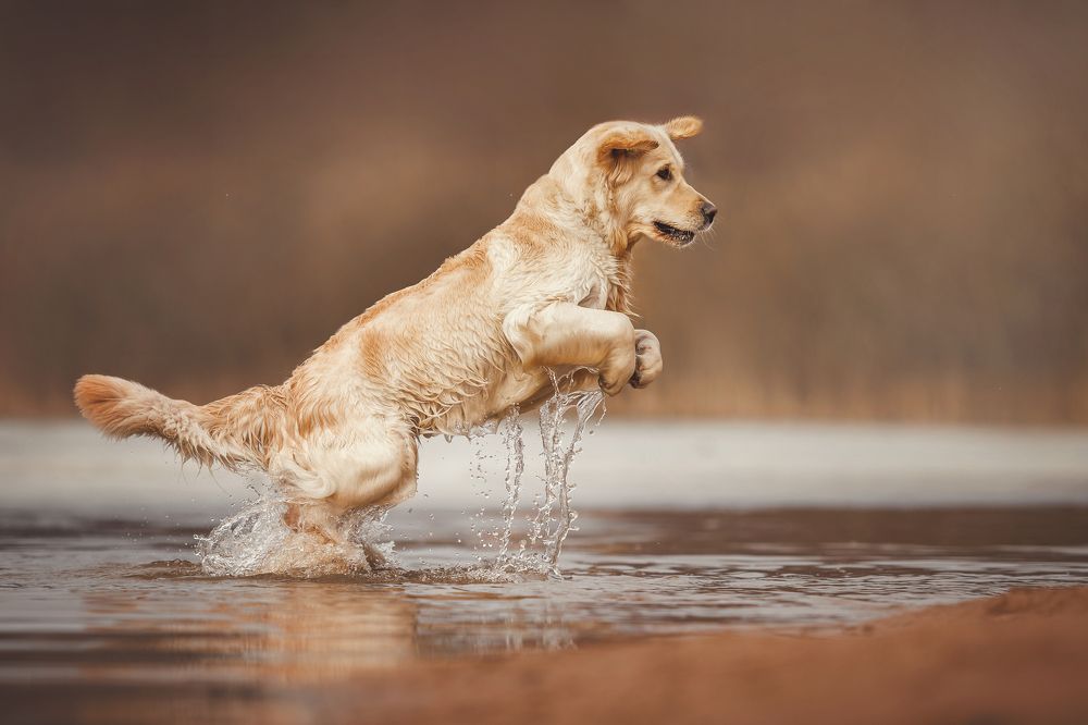 Photograph by Яна Нарбутович