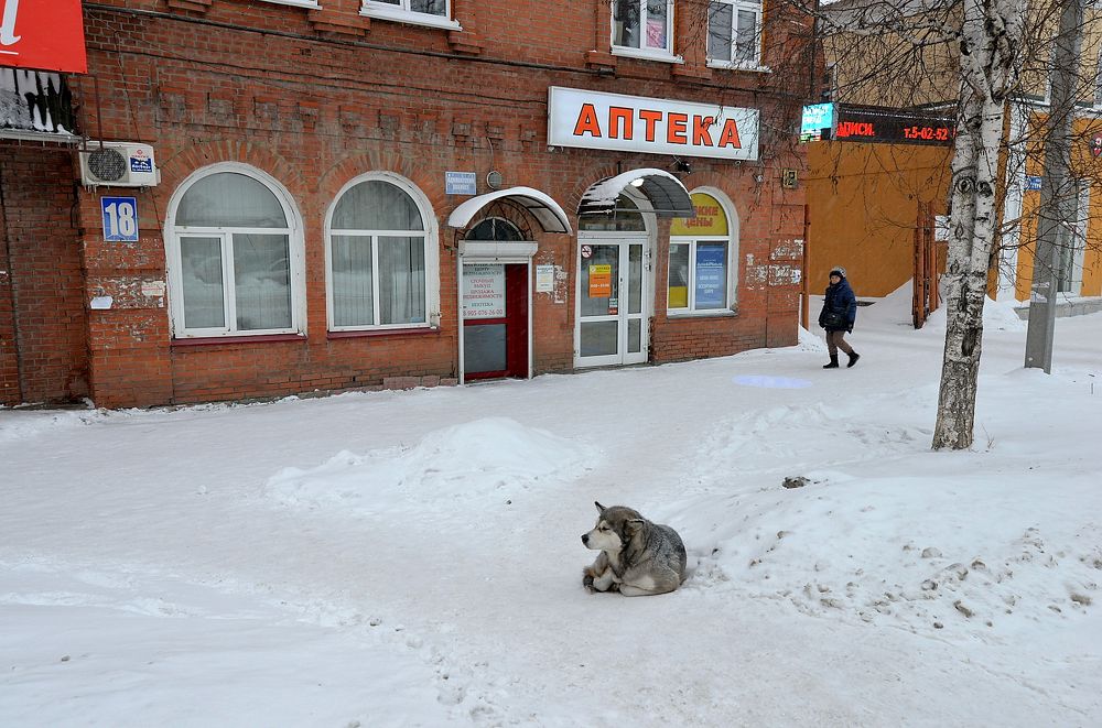 Photograph by Юрий Тимофеев