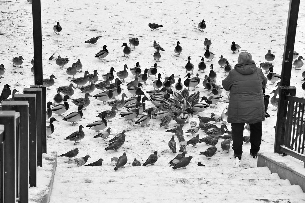 Притяжение добра