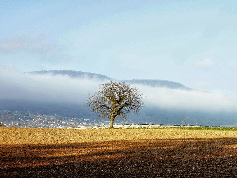 Photograph by Irina Lack