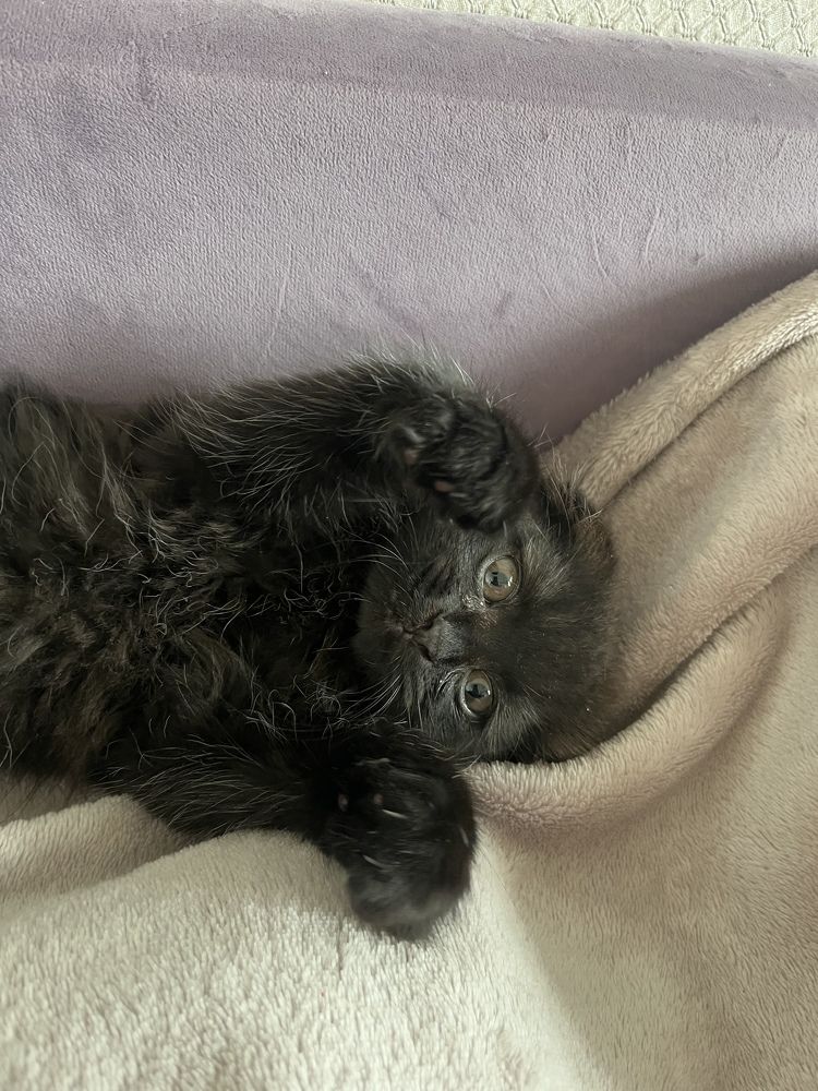 Photograph by Наталья Ермакова