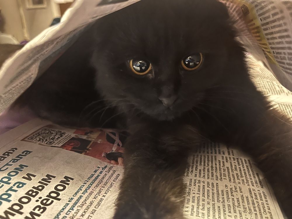 Photograph by Наталья Ермакова