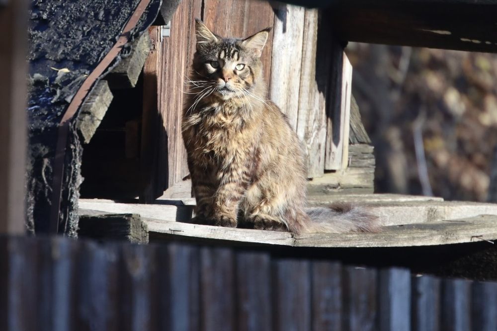 Photograph by Наталья Ермакова