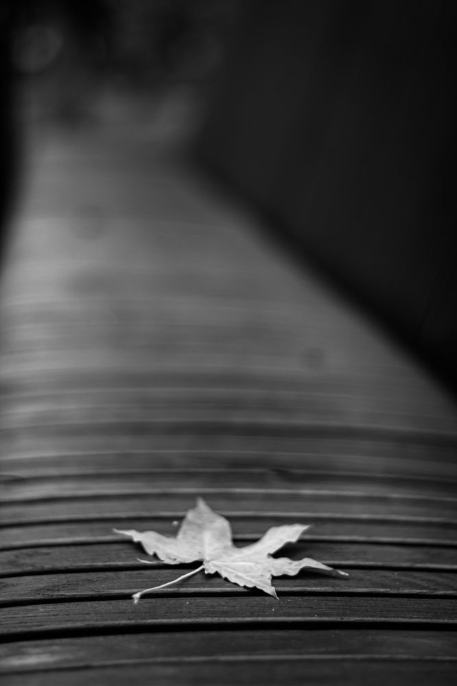 Photograph by Анна Осинцева