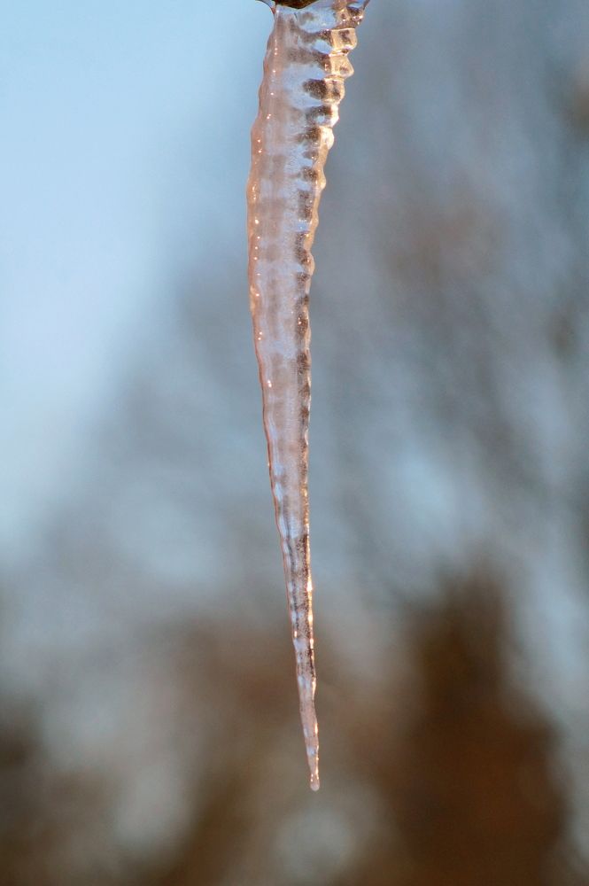 Фотография автора Jevgeni Filimonov